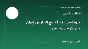 نيوكاسل يتعاقد مع الحارس إيوان جاوين من ريمس